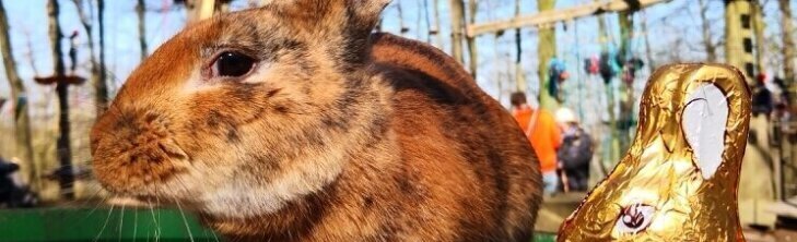 Ostereiersuche im Kletterpark